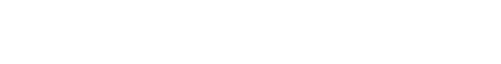 Pivot VPN